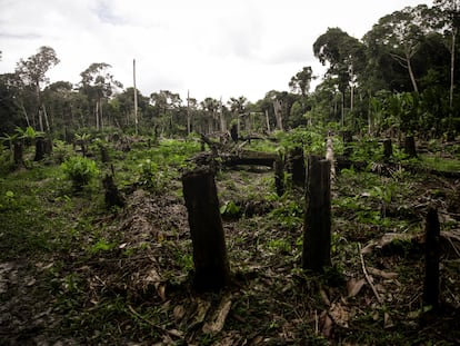 Una zona deforestada de la selva amazónica en Colombia, en marzo de 2023.