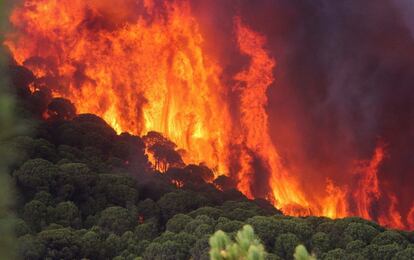 Vista general del incendio declarado en el término municipal de Nerva (Huelva).