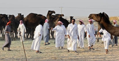 Un grupo de personas con sus camellos, en la zona del desierto de Arabia Saudí que linda con Qatar.