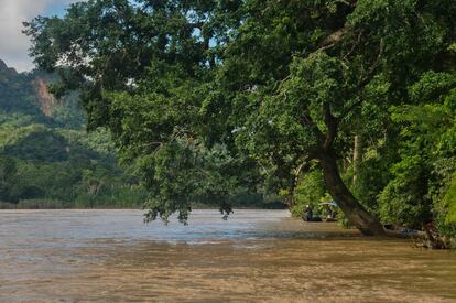 Río Beni cerca de la comunidad de San Miguel de Bala.