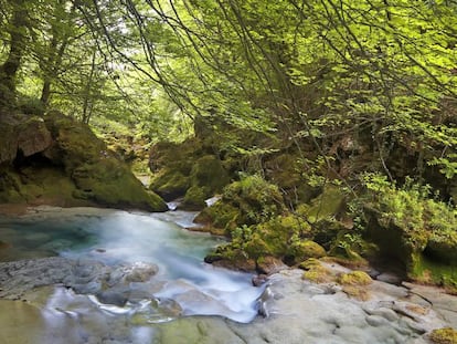 El Nacedero del Urederra, un ecosistema protegido, es uno de los muchos lugares con encanto que se pueden visitar en la Comunidad Foral.