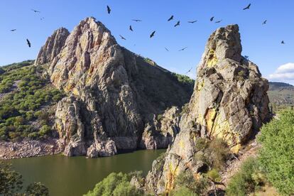 A paradise for birdwatchers, Monfragüe was declared a national park in 1979 after years struggling to ensure that the eucalyptus plantations didn’t destroy the brushwood and the indigenous Mediterranean forests. With its rocks and rivers, it is perfect territory for black storks and Golden Eagles.