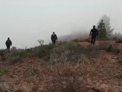 Image taken by the Civil Guard of officers searching for the missing woman and her son in Adeje.