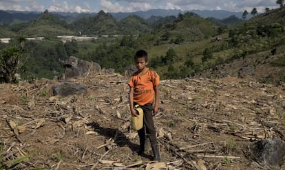 Un niño trabaja los cultivos cercanos a la hidroeléctrica Renace, en Cobán (Guatemala).