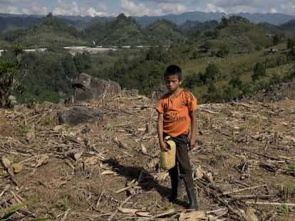 Un niño trabaja los cultivos cercanos a la hidroeléctrica Renace, en Cobán (Guatemala).