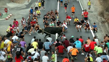 Los vecinos de L'Aldea cortaron el tráfico de la N-340 el verano pasado con un 'bou'.