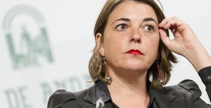 La consejera de Fomento y Vivienda, Elena Cortés.