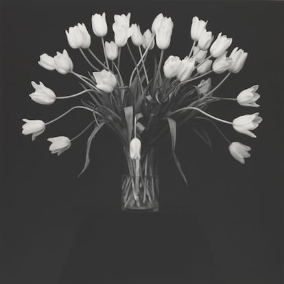 Tulipanes, 1988