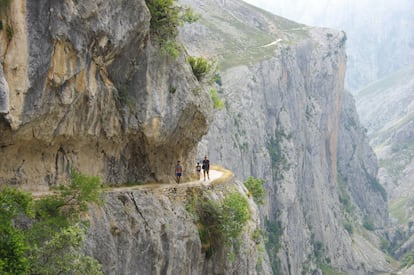 Es asequible para muchos y asombrosa para todos, ahí reside la magia de esta senda serpenteante y con el vacío a un paso, en Picos de Europa. La ruta del Cares conecta el pueblo asturiano de Poncebos con el leonés de Caín a través de un recorrido de dificultad media-baja, distancia factible (12 kilómetros) y con grandes vistas, que lo convierten en una de las excursiones más populares del parque nacional. El truco consiste en intercambiarse las llaves del coche a mitad de camino con algún amigo que haya iniciado la marchar en el extremo opuesto, evitando así tener que volver al punto de partida.