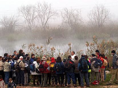 La niebla acompañó ayer a primera hora la visita guiada por el marjal y los yacimientos de Almenara.