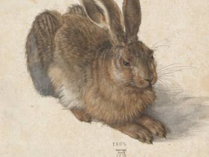 L’aquarel·la de Dürer d’una llebre és crucial en l’obra de Bastašic.
