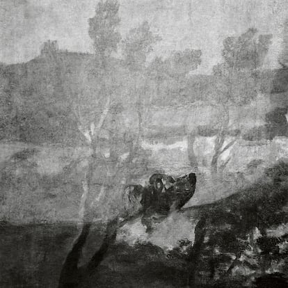 ‘Perro semihundido’ y ‘Las Parcas’ (Átropos) (1820-1823), de Goya. El perro más famoso de la historia del arte ya no está solo.