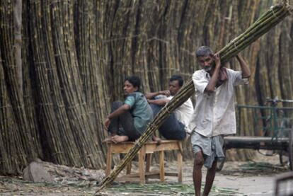 Un hombre porta cañas de azúcar en la localidad india de Kolkata.