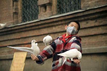 Uma criança protegida com uma máscara alimenta pombas em Harbin (China), em 3 de novembro de 2015.