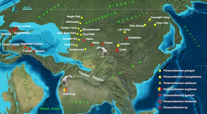 Distribuição dos rinocerontes gigantes durante o Oligoceno