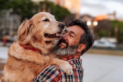 Cómo envejece un perro y qué cuidados necesita los últimos años de su vida