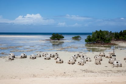 Subutuni en Tanzania