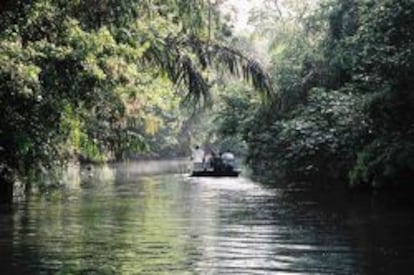 Paseo por los canales en lancha motora.