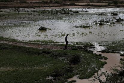 Un hombre camina por un campo inundado en los alrededores de Botor, en Somaliland. La lluvia llegó en el mes de abril y su intensidad ha inundado los campos y ha matado a las reses, muy frágiles a consecuencia de la desnutrición que arrastraban y que les impedía dar leche o carne.