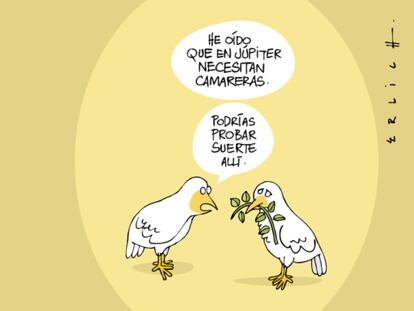 Erlich