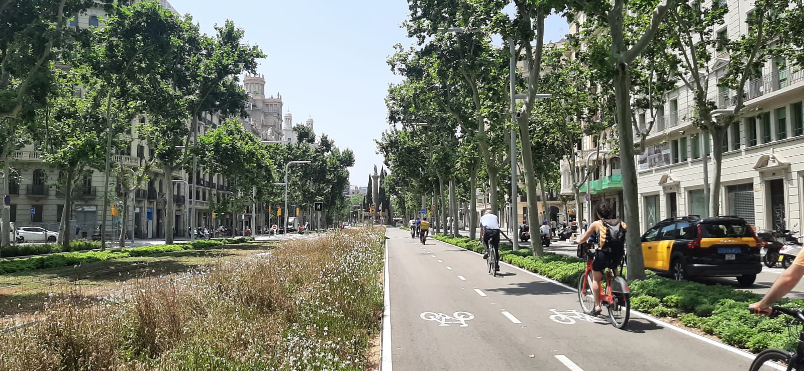 El mejor carril bici de Barcelona (y no es un render)