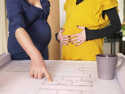 Profesionales embarazadas observan unos planos.