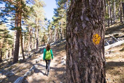 Es una de las rutas senderistas clásicas de la Sierra de Guadarrama, debe su nombre al montañero austriaco Eduard Schmidt (cuyo nombre en ocasiones aparece españolizado como Eduardo Schmid), que la señalizó en 1926. Comienza y termina en Madrid, en el Puerto de Navacerrada y en el albergue de la Real Sociedad Española de Alpinismo Peñalara, respectivamente, pero discurre casi en su totalidad por la provincia de Segovia, por la ladera norte de Siete Picos. El camino Schmid (o Schmidt) vuelve a tierras madrileñas para llegar a Collado Ventoso, donde pasa a la ladera sur, en dirección al valle de la Fuenfría de Cercedilla. Son algo más de ocho kilómetros en total, con pocos desniveles, entre fuentes, arroyos, pinares y praderas. Más información: <a href="http://www.madrid.org/cs/Satellite?blobcol=urldata&blobheader=application%2Fpdf&blobheadername1=Content-Disposition&blobheadervalue1=filename%3D06.Camino+Schmid.pdf&blobkey=id&blobtable=MungoBlobs&blobwhere=1352854926877&ssbinary=true" target="_blank">madrid.org</a>