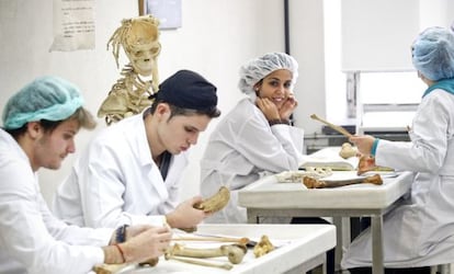 Estudiantes de Medicina en una sala de disecci&oacute;n de la Universidad Complutense.