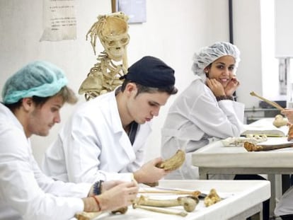 Estudiantes de Medicina en una sala de disección de la Universidad Complutense.