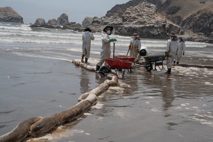 Trabajadores voluntarios limpian  las costas empetrolada en Playa Cavero. 
