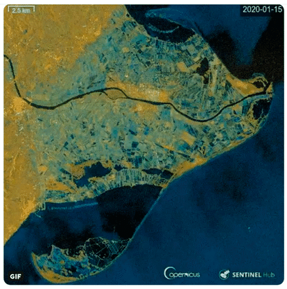 La borrasca Gloria ha provocado la subida del nivel del agua en el Delta del Ebro hasta tres kilómetros tierra adentro. En la foto, imágenes de satélite del antes y después del paso de la tormenta.