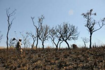 La producción agrícola prácticamente se ha evaporado con el sol abrasador en varios estados de la región, que es una de las mayores zonas de cultivo de fríjol, algodón, maíz o ricino. EFE/archivo