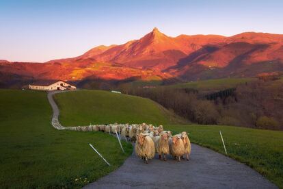 The mountains of Aralar jut out between Navarre and Gipuzkoa, but it is only the area within the Basque Country that has been classed as natural parkland. Abaltzisketa and Ataún are two of the passes leading to one of the most important mountainous regions in the Basque Country, featuring the iconic peaks of Txindoki and Larrunarri. Temperatures are cool here all year round with highs of 17ºC and lows 7ºC. It’s weather that allows for all kinds of activity, from gastronomic tours to sample the Idiazabal cheese and local cider to hiking, pony treks and mountain biking, which are all popular in these parts.