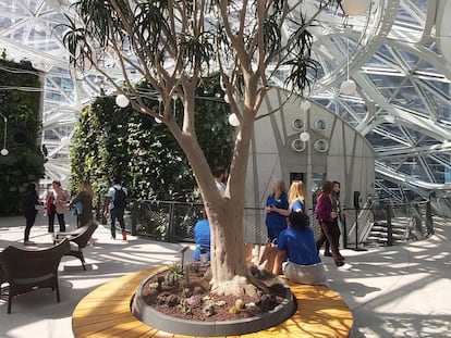 Trabajadores de Amazon, en Las Esferas, el jardín botánico que forma parte de la sede central de la compañía en Seattle, a principios de mayo.