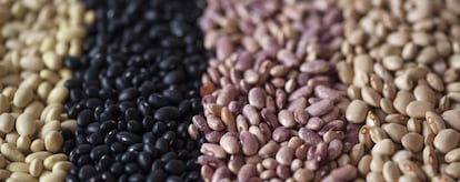 Frijoles de cuatro variedades distintas.