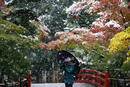 Una visitante toma una fotografía bajo la nieve en Kamakura (Japón).