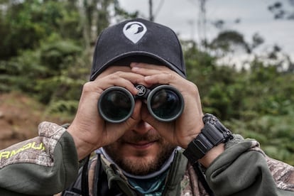 Carlos Arturo Salgado mira por sus binoculares en una de las localidades donde se est buscando al ave.