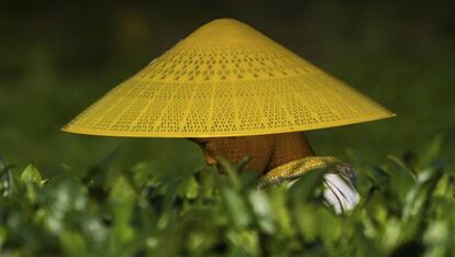 Campo de cultivo en un valle entre las ciudades de Zunyi y Maotai (China).