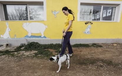 Gema, colaboradora de la protectora de animales Alba (Camarma de Esteruelas), de camino al camión que viaja al extranjero.