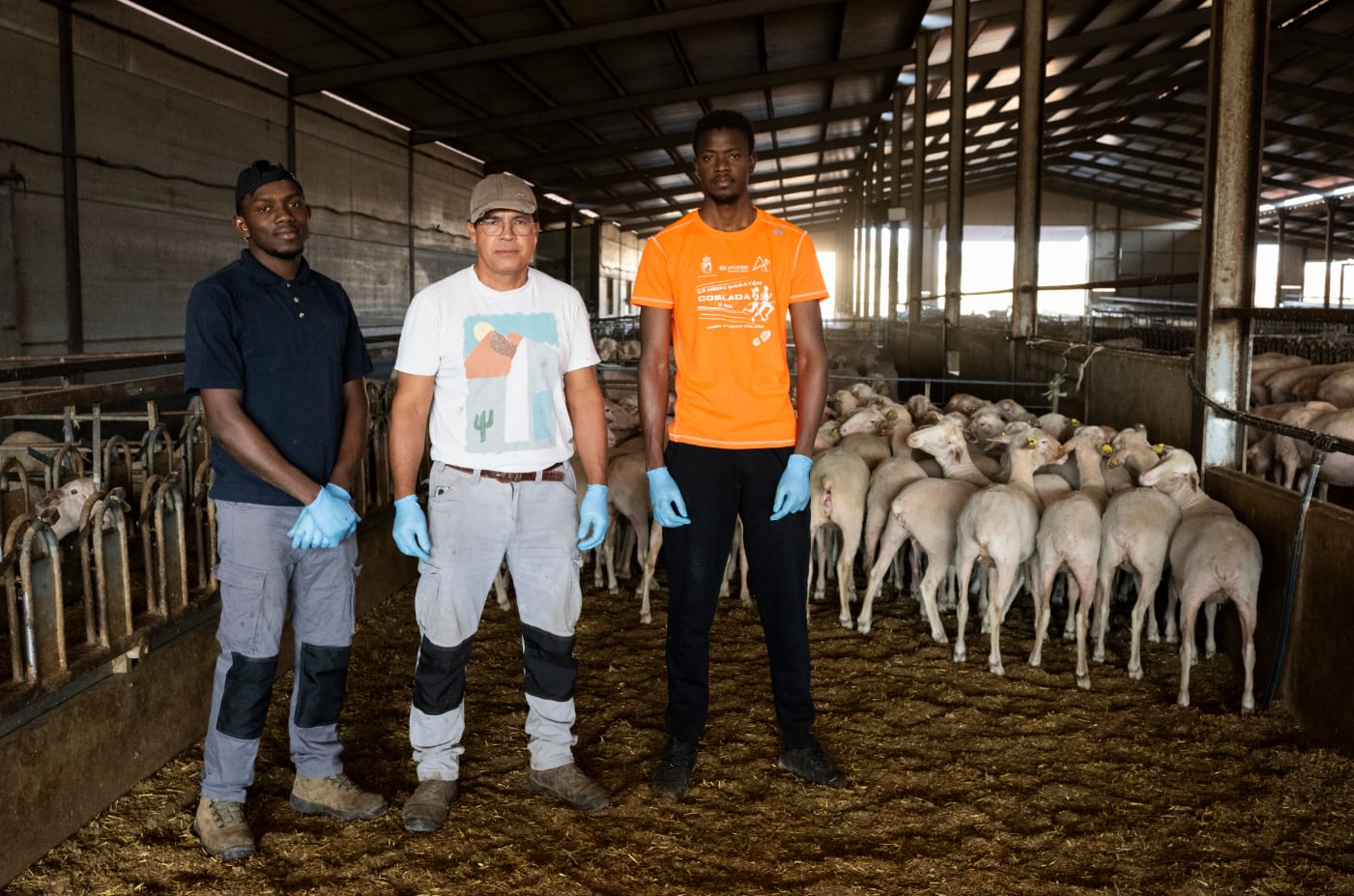 Benjamín Gutiérrez, encargado en una finca ganadera de Moral de Calatrava (Ciudad Real), con los malienses Moriba Diara y Sory Diakite.