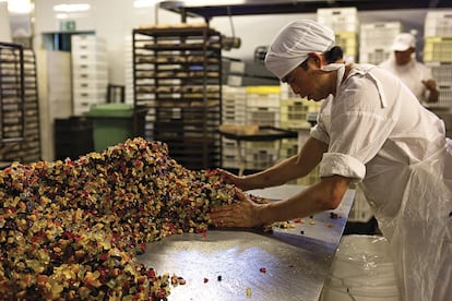 Uno de los procesos que todavía es completamente artesanal en la panadería y pastelería San Camilo es la elaboración del pan de pascua. Se fermenta en batea, se incorpora la fruta confitada y los frutos secos, se ovilla a mano y se mete al horno.