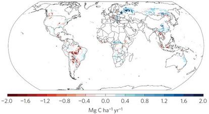 El mapa muestra la evolución anual de la biomasa expresada en toneladas de carbono por hectárea. En azul, las zonas donde crece la cubierta vegetal y, en rojo, donde desciende.