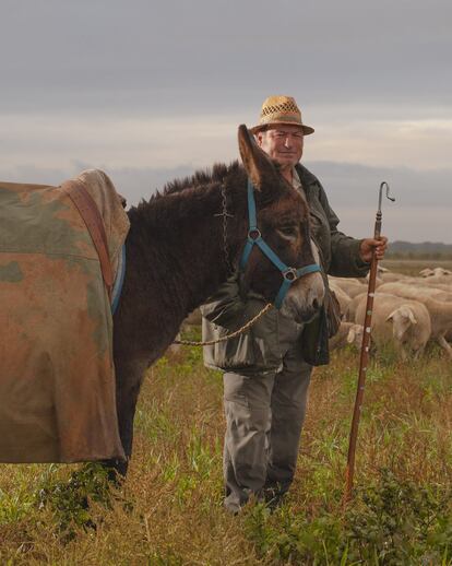 Juan Carlos García, 63 años, junto a su burro Cascabel. Juan Carlos y su hermano Juan Ramón son los principales productores de la leche que llega a Cantagrullas