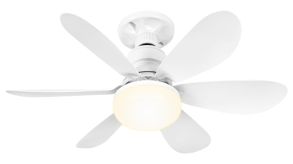 Ventilador de techo con luz.