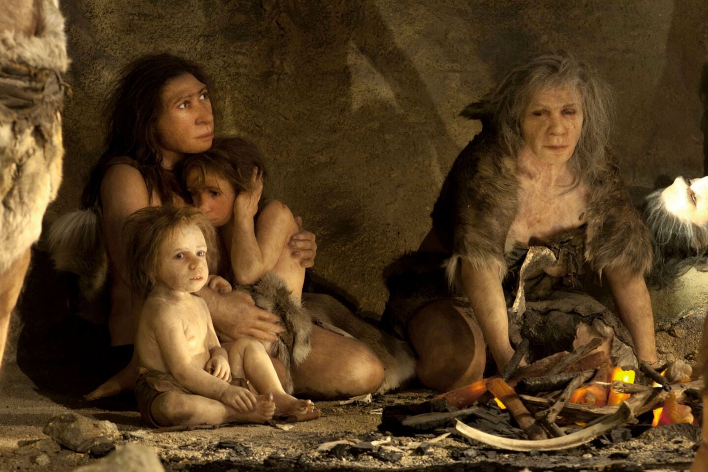 Los diferentes clanes neandertales tenían sus ‘platos estrella’ y entre ellos podría estar la carne podrida con gusanos