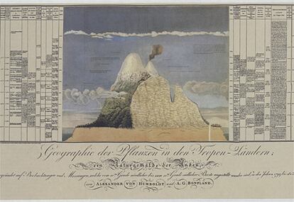 En el grabado, realizado sobre un boceto de Humboldt y Bonpland del volcán Chimborazo (Ecuador), el naturalista sistematiza su nueva geografía de las plantas. En él, Humboldt distribuye los vegetales según la altitud, y anota todas sus mediciones y observaciones en los márgenes.