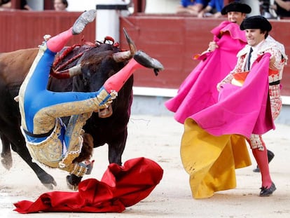 El diestro Román Collado sufre una cornada en su primer toro, hoy en Las Ventas. 