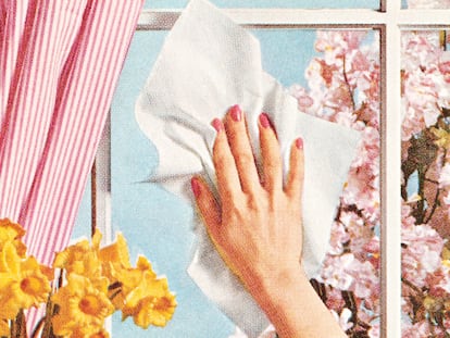 Woman's Hand Cleaning Window