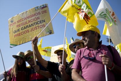 La convocatoria estuvo encabezada por COAG-A y UPA-A, apoyados por UGT y CC OO. También les acompañaron representantes del PSOE-A, de Ciudadanos y de Adelante Andalucía.