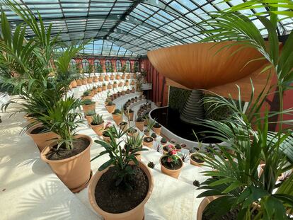 El invernadero se articula como un teatro botánico.